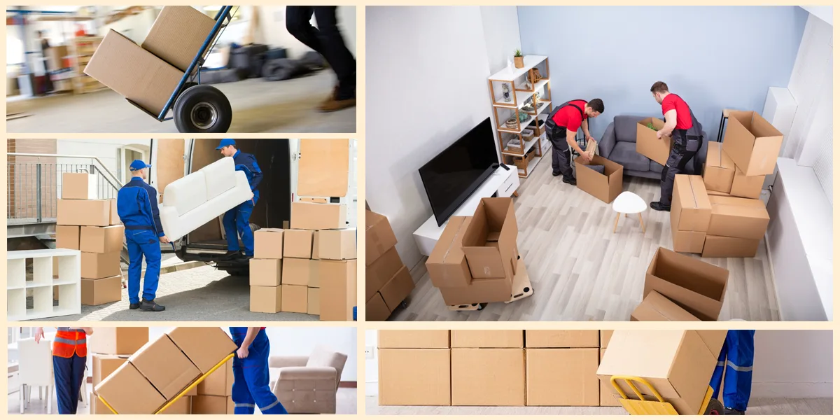 First, Let’s Get into the Details of Why You Should Choose Easy Way Removals