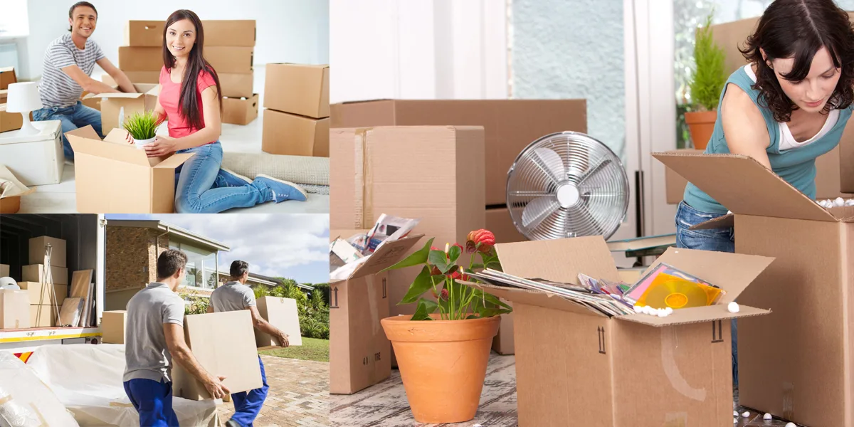 How do Easy Way House Removals Work Step-by-step