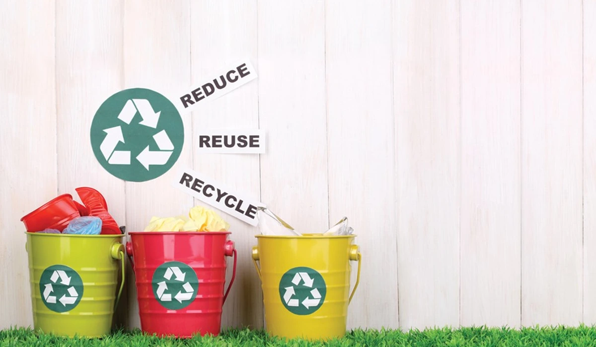 Easy Way Removal's Approach to Responsible Waste Management