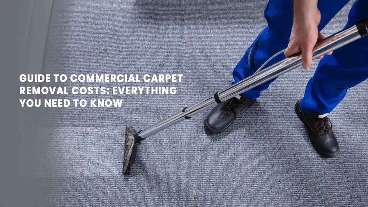 Guide to Commercial Carpet Removal Costs Everything You Need to Know