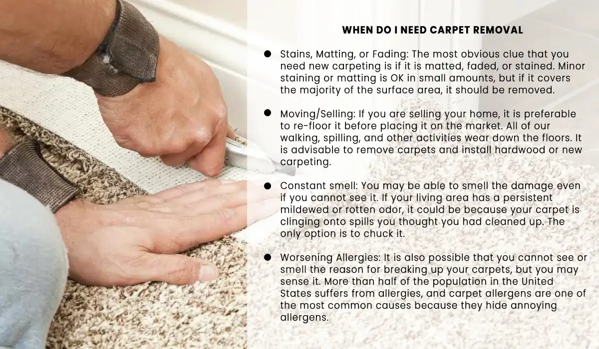 When do I need carpet removal