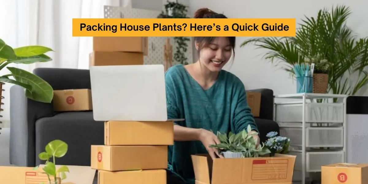 Packing House Plants_ Here’s a Quick Guide