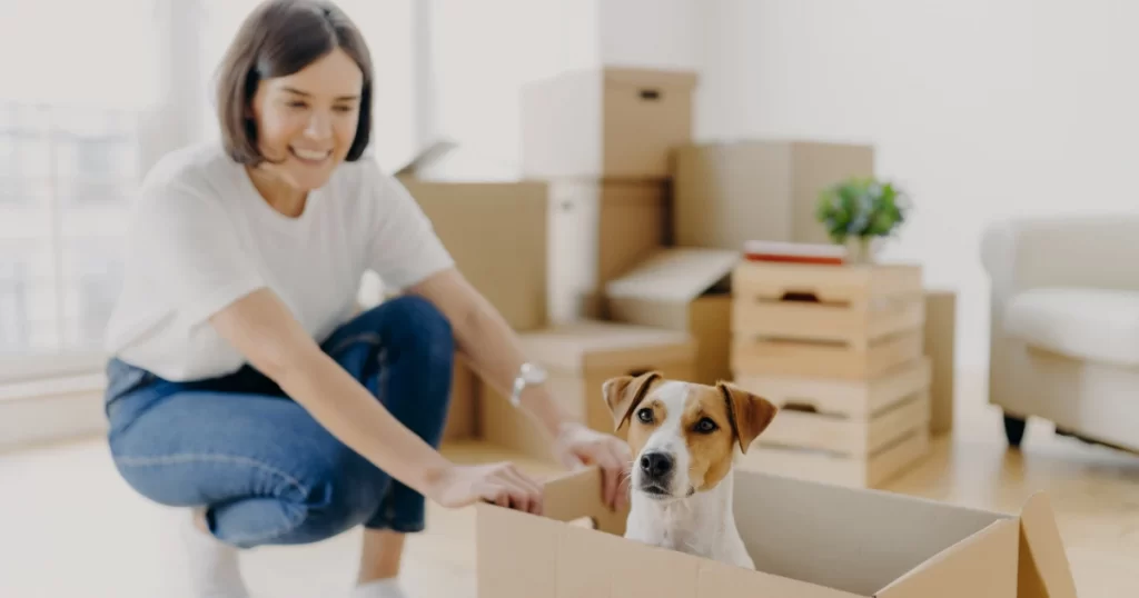 Additional Tips on What to Do When You Move House with a Dog