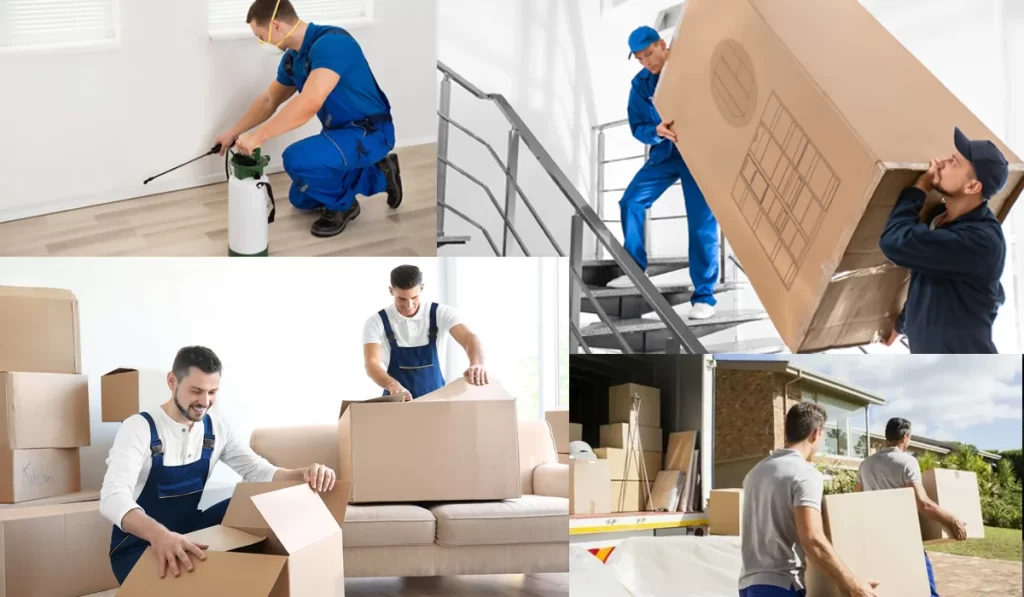Services