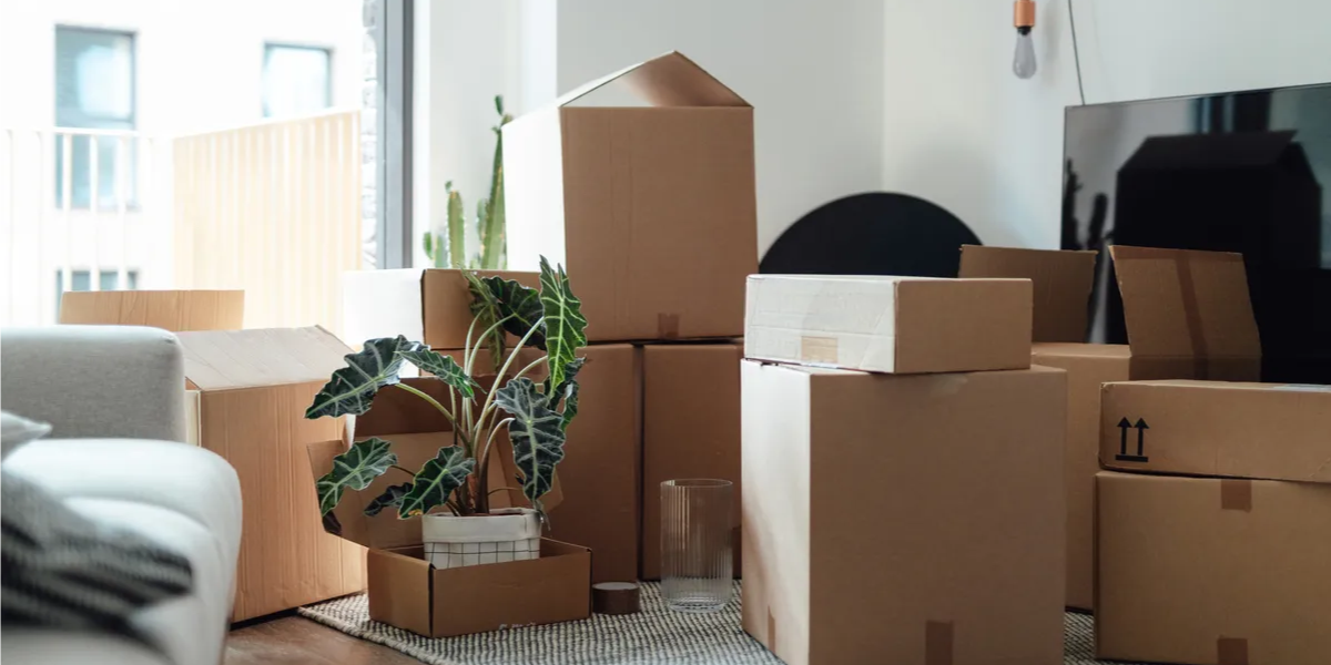 What-Makes-a-Good-Moving-Box