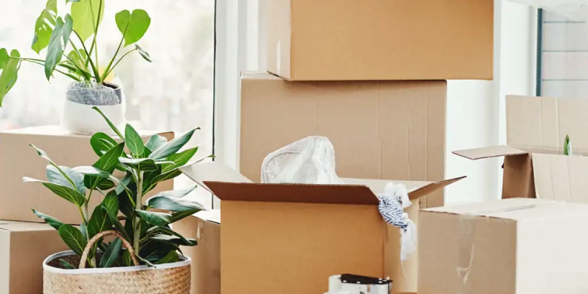 What Affects the Cost of Furniture Storage